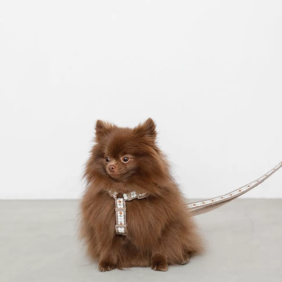 Collar / Lead / Harness*MonCheri 2Way Flower Tape Lead Mocha