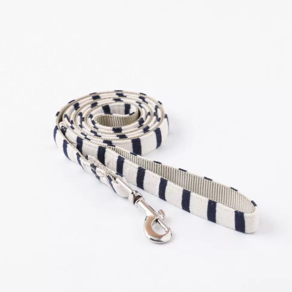 Collar / Lead / Harness*MonCheri Border Lead