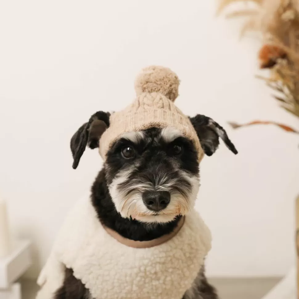 Other*MonCheri Cashmere Mixed Pom Pon Dog Knit Hat