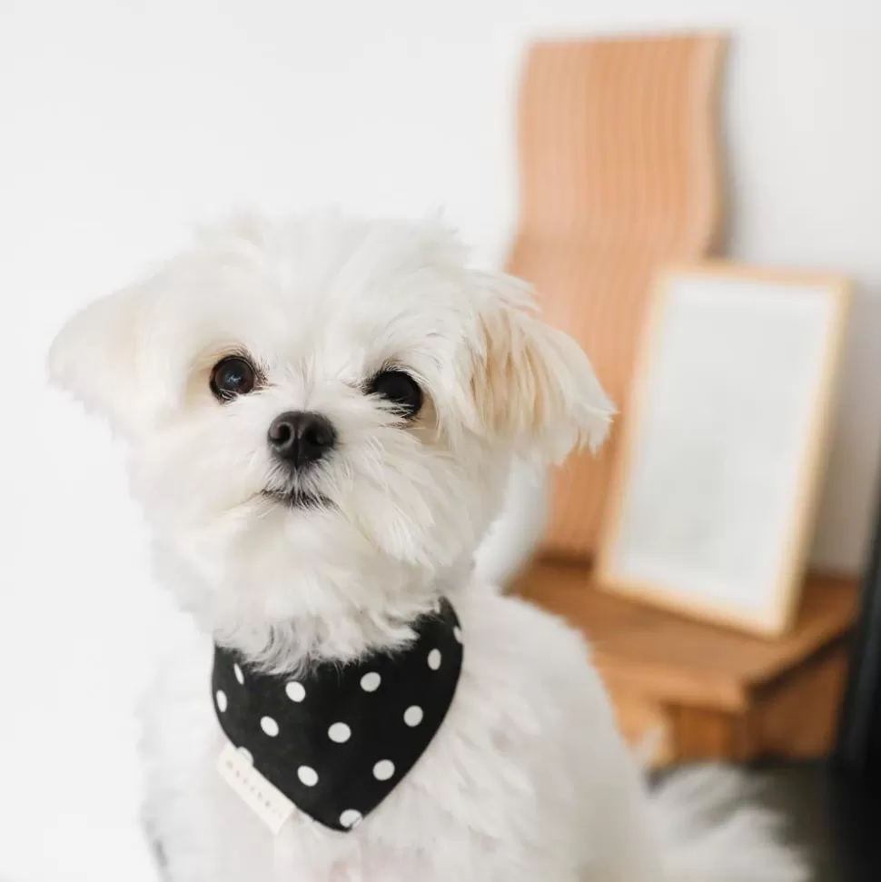 Other*MonCheri Dot Pattern Bandana