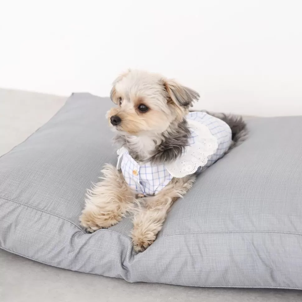 Interior*MonCheri Modern Dog Cushion Gray