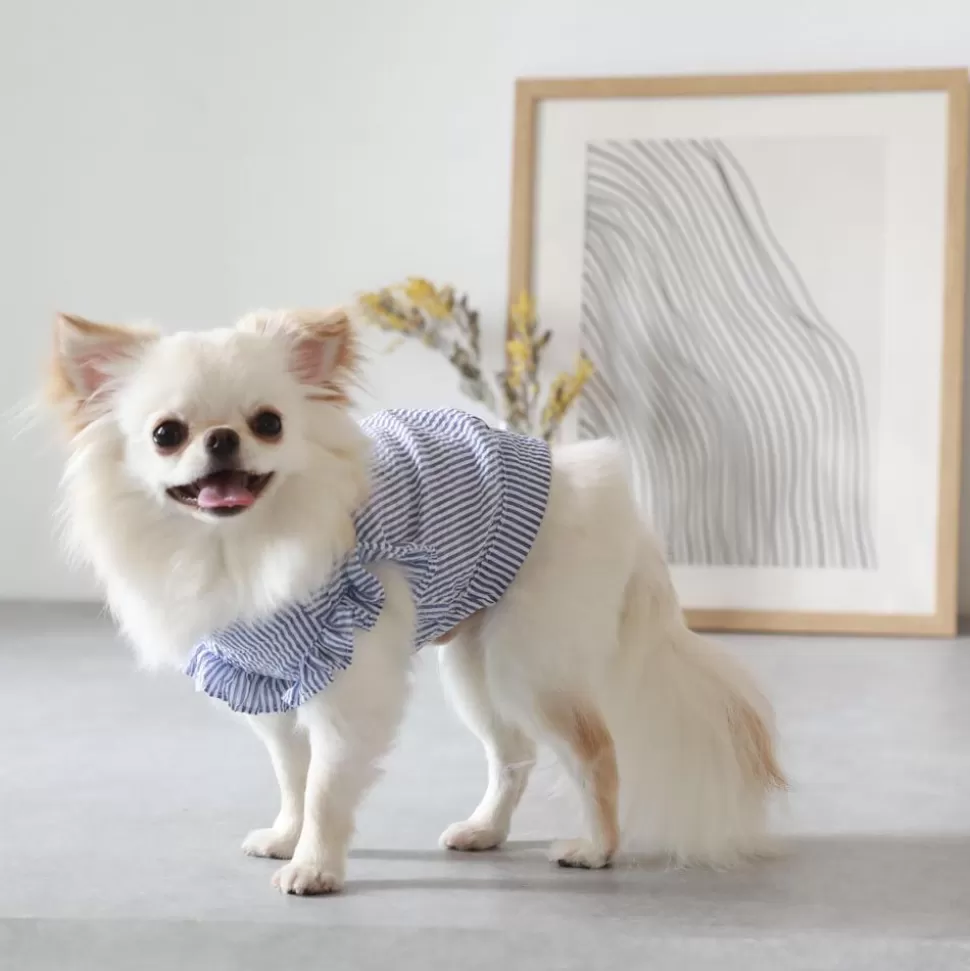 Tops*MonCheri Striped Frill Blouse Blue